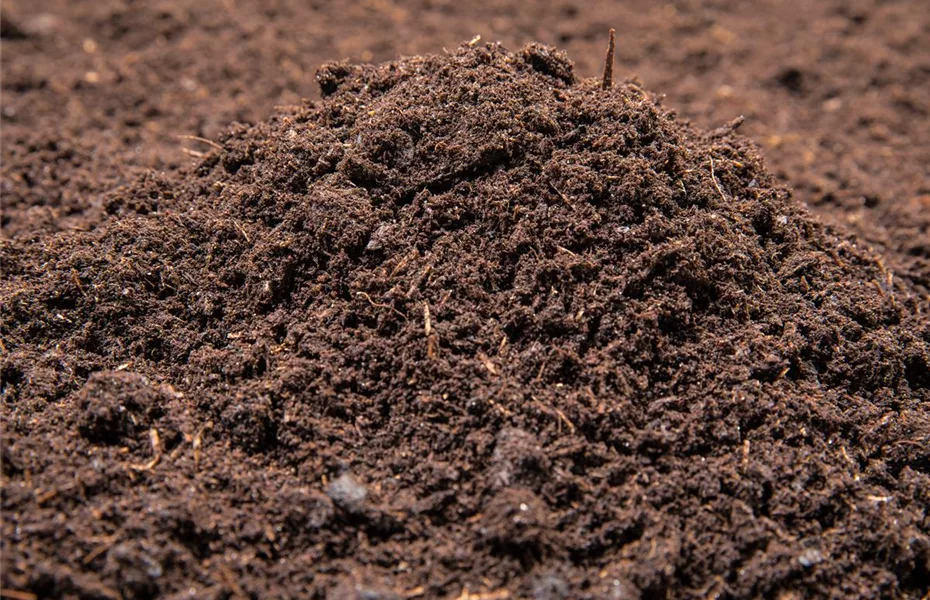 Pflanzenerde eine gute Alternative zur Blumenerde? Olerum