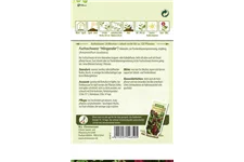 Garten-Fuchsschwanz-Samen Inhalt reicht für ca. 120 Pflanzen