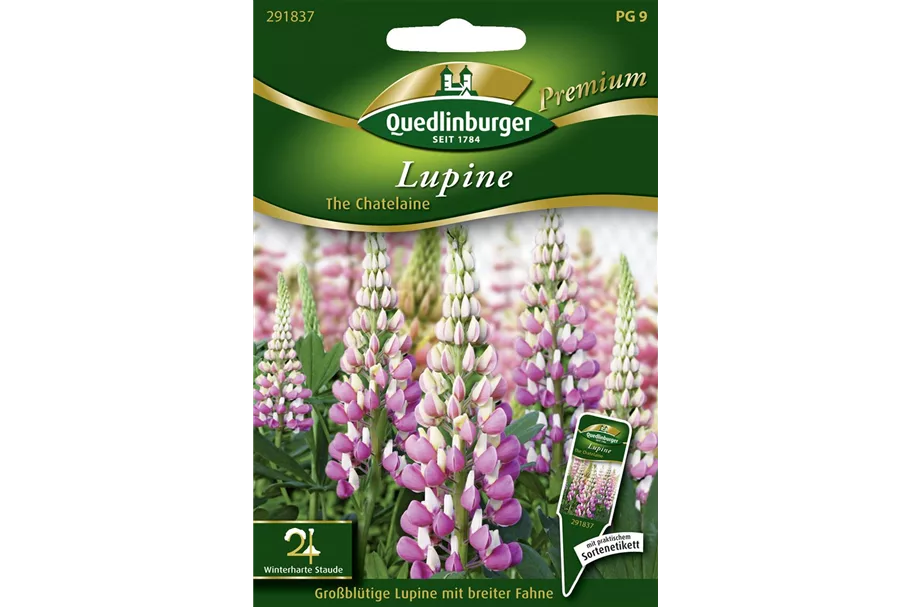 Garten-Lupine-Samen 'The Chatelaine' Inhalt reicht für ca. 10-15 Pflanzen