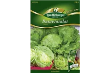 Batavia-Salat-Samen 'Leny' Packungsinhalt reicht für ca. 100 Pflanzen