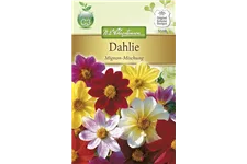 Dahliensamen 'Dandy Mix' Inhalt reicht für ca. 50 Pflanzen