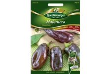 Habanerosamen 'Chocolate' Packungsinhalt reicht für ca. 5-8 Pflanzen