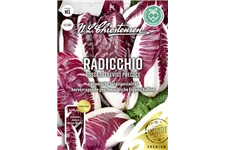 Radicchiosamen 'Rosso di Treviso Precoce' Inhalt reicht für ca. 70 Pflanzen