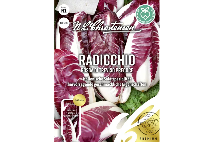 Radicchiosamen 'Rosso di Treviso Precoce' Inhalt reicht für ca. 70 Pflanzen