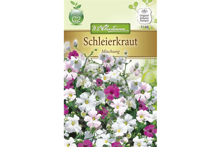 Sommer-Schleierkraut-Samen Inhalt reicht für ca. 200 Pflanzen
