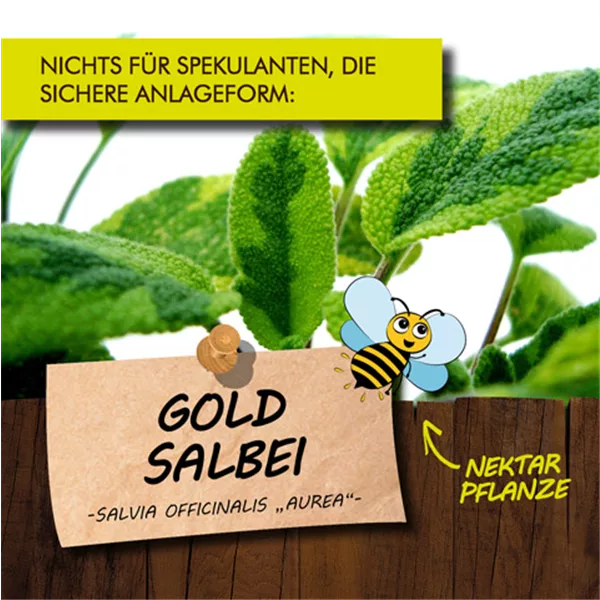 Bio Goldsalbei