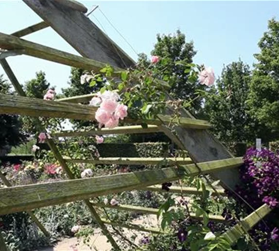 Gartengestaltung 6 - Der Rosengarten