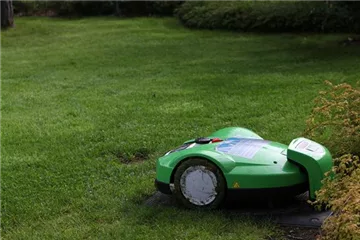 Rasen vertikutieren Rasen vertikutieren