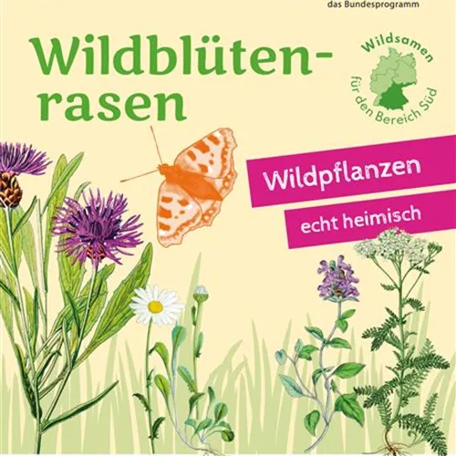 Heimische Wildblüten aussäen - Wildstauden pflanzen