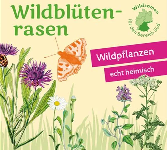 Heimische Wildblüten aussäen - Wildstauden pflanzen