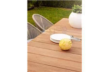 BALI Gartentisch 180x90/76 cm, Teak natur/matt-weiß
