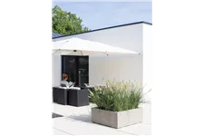 DIVISION PLUS Würfel 100x100/40 cm, natur-beton