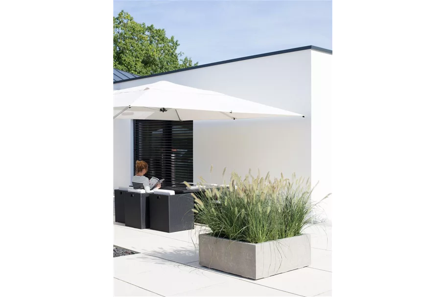 DIVISION PLUS Würfel 100x100/40 cm, natur-beton