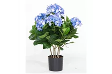 HORTENSIE Kunstpflanze 53 cm, blau