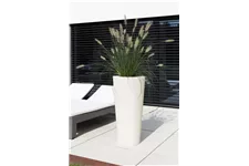 POLYSTONE CONICAL Pflanzgefäß 43/80 cm, creme