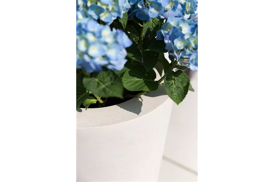 POLYSTONE CONICAL Pflanzgefäß 43/80 cm, creme