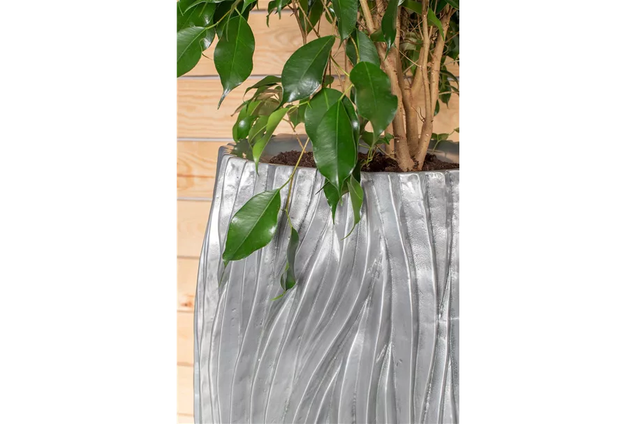 RIVER Pflanzgefäß 38/70 cm, aluminium