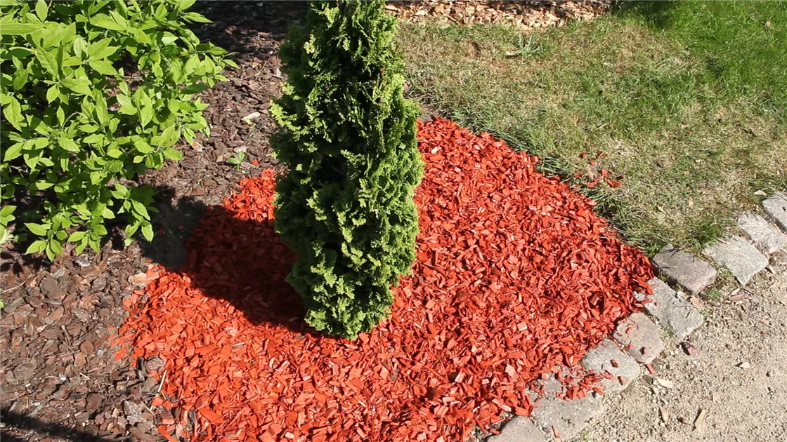 Rindenmulch - Einsatz im Garten