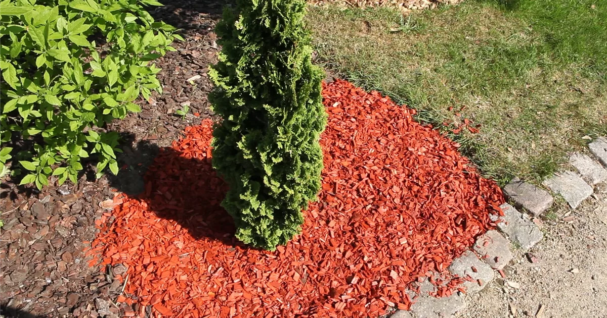 Rindenmulch - Einsatz im Garten