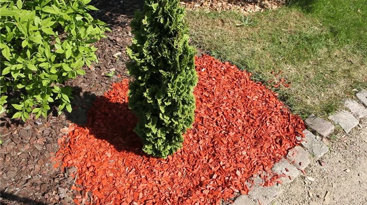 Rindenmulch - Einsatz im Garten