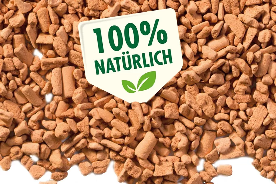 Seramis Pflanzgranulat für Zimmerpflanzen 2,5 l
