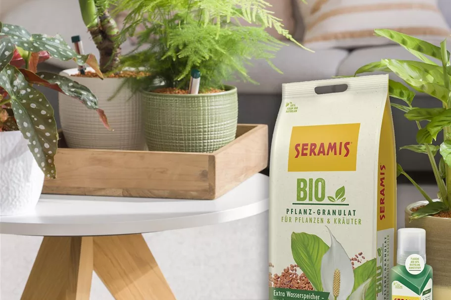 Seramis BIO-Pflanz-Granulat für Zimmerpflanzen 6 l Wasser- und Nährstoffspeicher