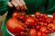 Westland Tomaten- und Gemüseerde 20 l torfreduzierte Bio-Erde für alle Wachstumsphasen