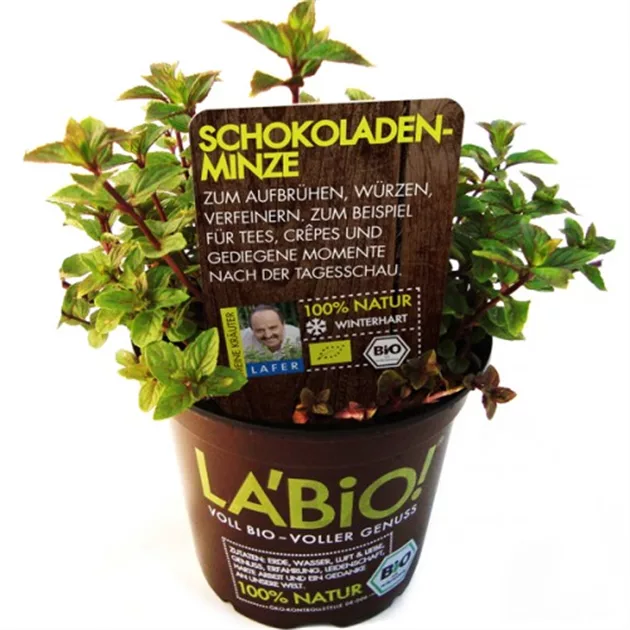 Schokoladenminze♡ Schokoladenminze-r2-1200x630-