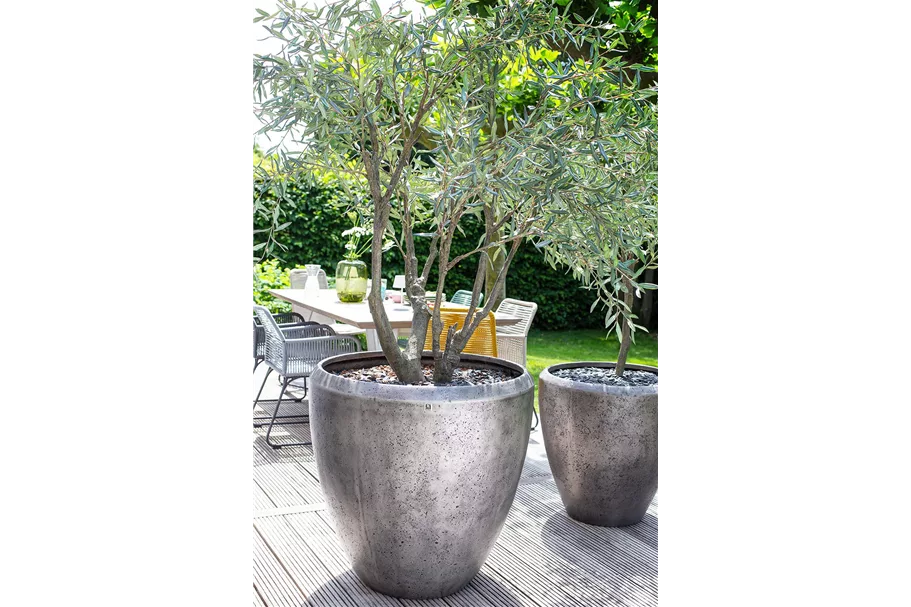 GRACE Pflanzgefäß 80/80 cm champagner