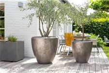 GRACE Pflanzgefäß 80/80 cm champagner