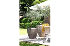 GRACE Pflanzgefäß 80/80 cm champagner