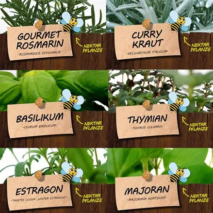 Bio Kräuter für Gourmets