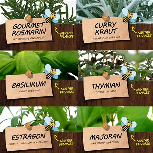 Bio Kräuter für Gourmets