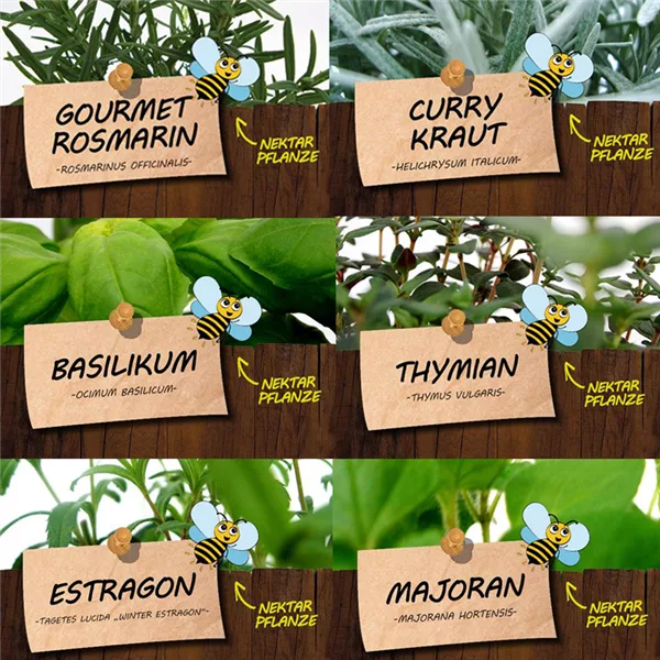 Bio Kräuter für Gourmets