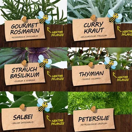 Bio Kräuter zum Grillen