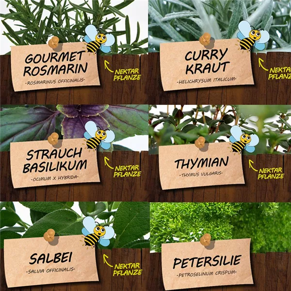 Bio Kräuter zum Grillen