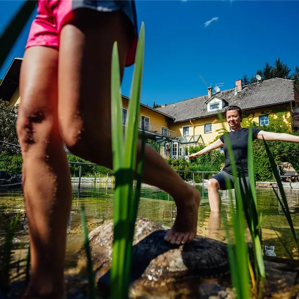 Pflanzensortiment: Niedrige Kiesfilter-Pflanzen - Niedrige Kiesfilterpflanzen  Pflanzensortiment: Niedrige Kiesfilter-Pflanzen - Niedrige Kiesfilterpflanzen