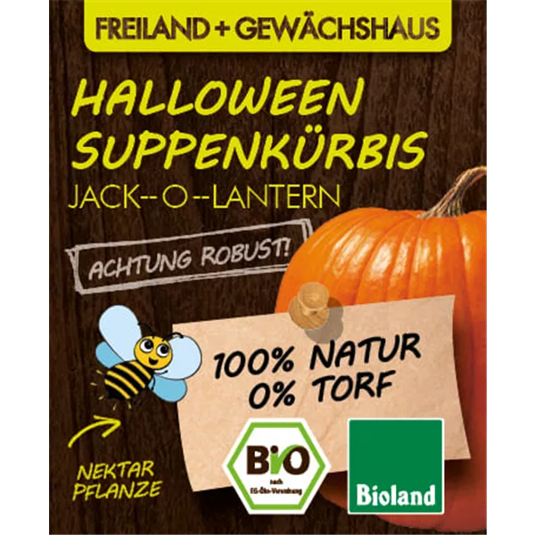 Bio Kürbis 'Jack-o-Lantern'