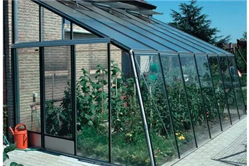 Anlehn-Gewächshaus Glas Anlehn-Gewächshaus Glas