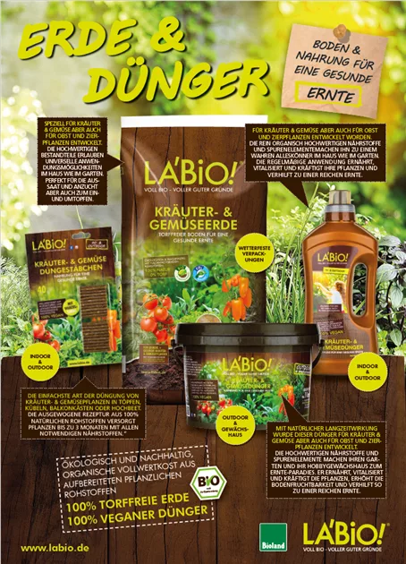 aloe vera conditioner Aloe Vera Leave In