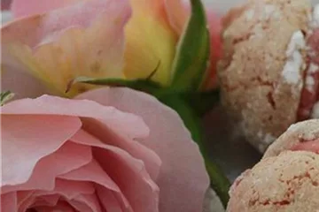 Rezepte mit Rosen Rezepte mit Rosen
