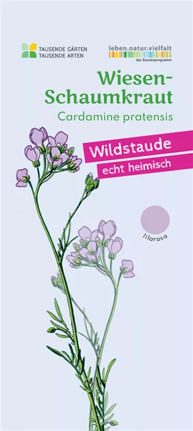 künstliche orchidee kaufen Orchidee Vanda Kunstpflanze 60cm Deko pflegeleicht kaufen main image 0