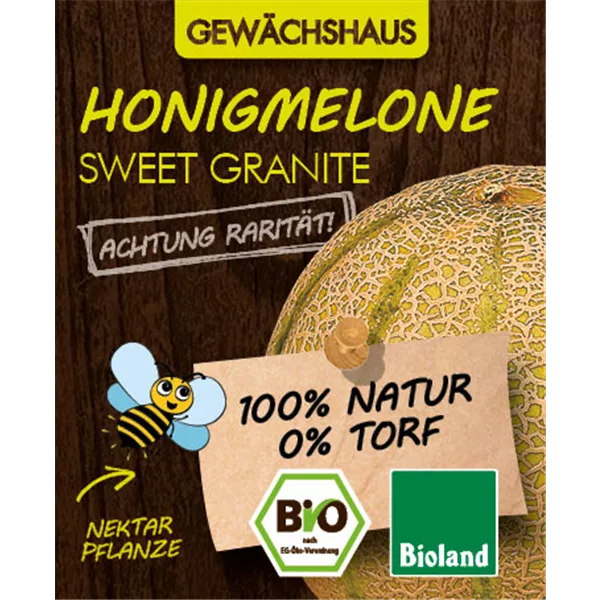 Bio Honigmelone 'Sweet Granite' - Gemüsepflanze