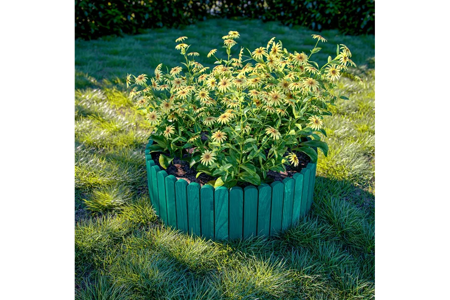 Dekorativer Holzzaun - Beeteinfassung* Unbehandelt Länge: 200 cm Höhe: 10 cm