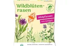 Wildblüten-Rasen - 10 m² NORD 30 g für 10 m² Region NORD