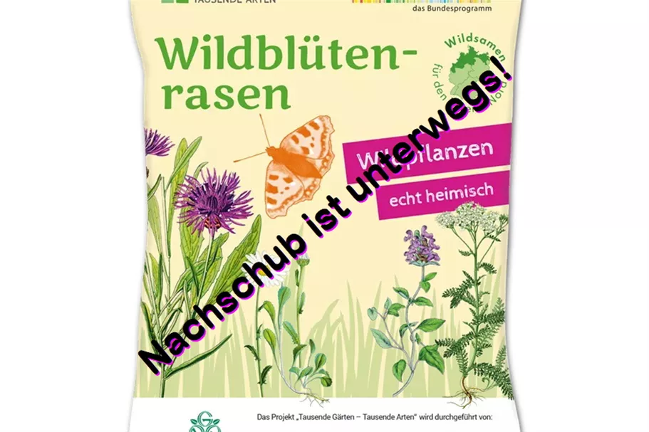 Wildblüten-Rasen - 10 m² NORD 30 g für 10 m² Region NORD