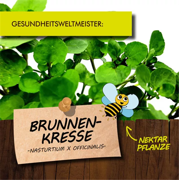 profi drehmomentschlüssel fahrrad 1/4 Zoll 2-24 Nm mit Ratsche & Koffer für Fa Menge:2kg Orangen-Mandel-Spritzgebäck + Schoko-Spritzgebäck Extra_Schlaffunktion
