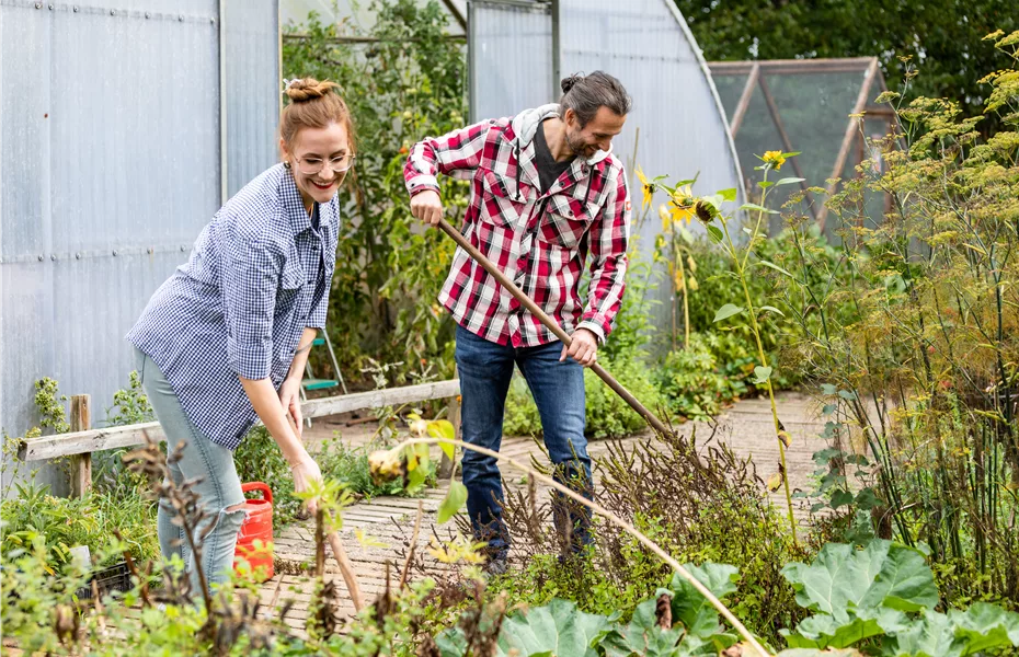 Der ultimative Gartenkalender für alle Gartenfreunde