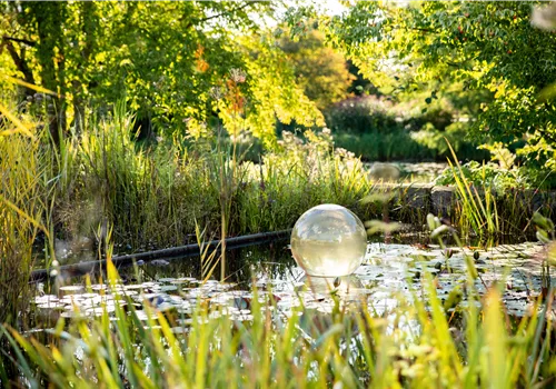 Ein Gartenteich als kleines Stück Natur im eigenen Garten