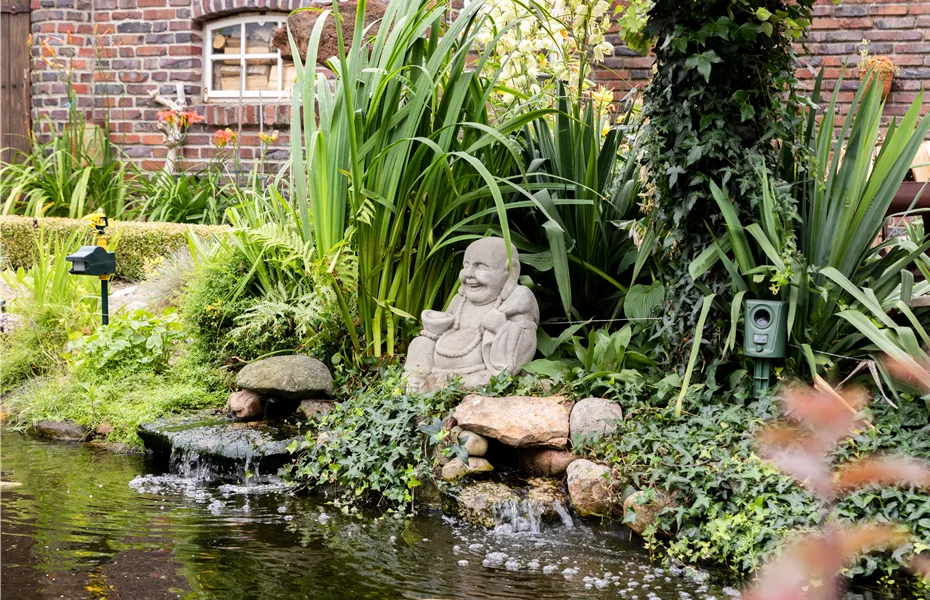 Ein Gartenteich als kleines Stück Natur im eigenen Garten